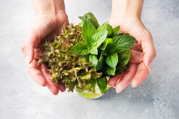 Czy mięta jest dobra na wątrobę i jak wpływa na jej pracę?