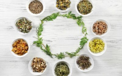 Jakie zioła na cerę warto wypróbować?