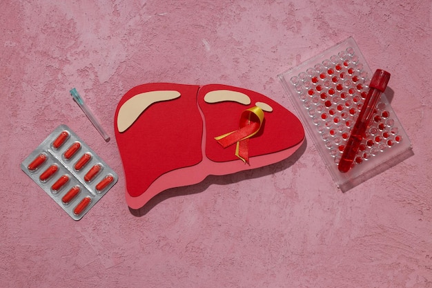 Co odtruwa wątrobę i jak wspierać jej regenerację?