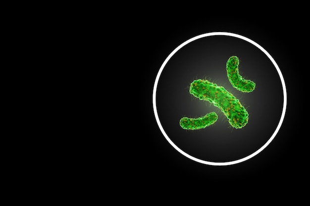 Helicobacter pylori jak wygląda i co warto o nim wiedzieć?