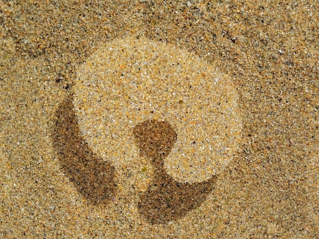 Piasek w nerkach jak się pozbyć bezpiecznie?