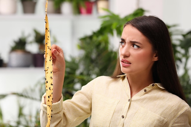 Nerczyca co to jest i kiedy może zagrozić zdrowiu?